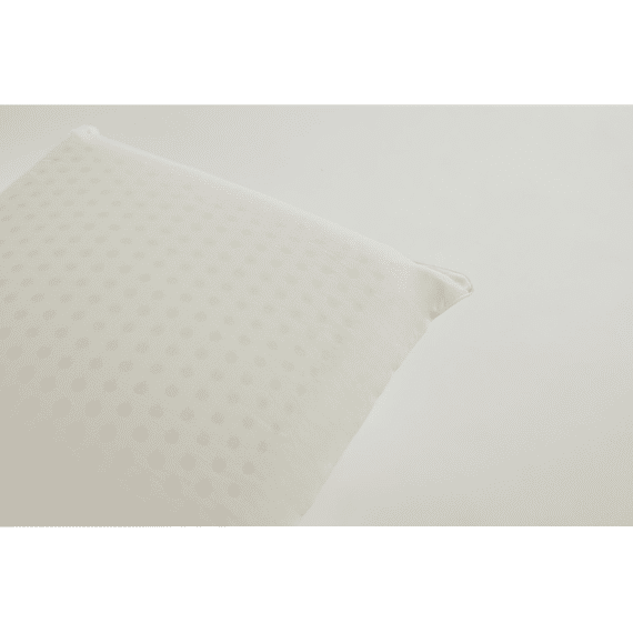 Kussen Organic Latex 60x60cm