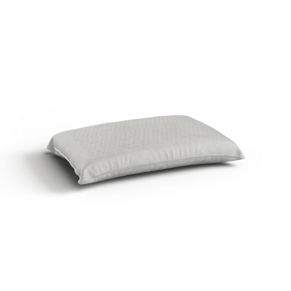 Kussen Organic Latex 60x60cm