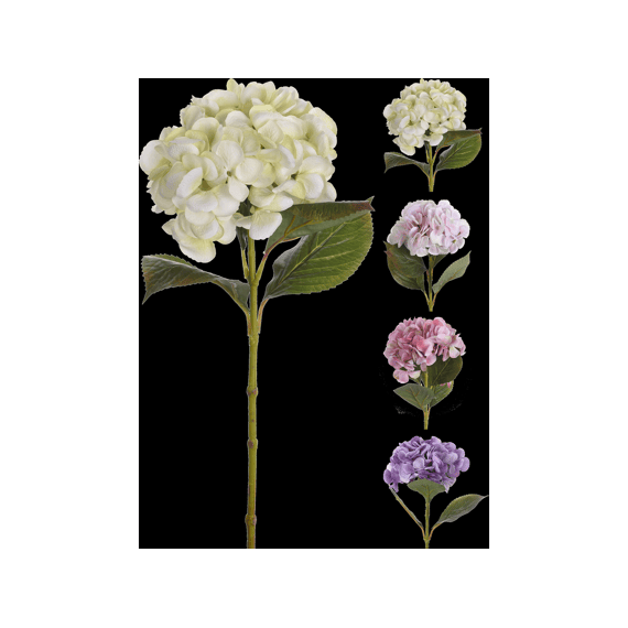Hortensia 65cm 4 Assortiment 