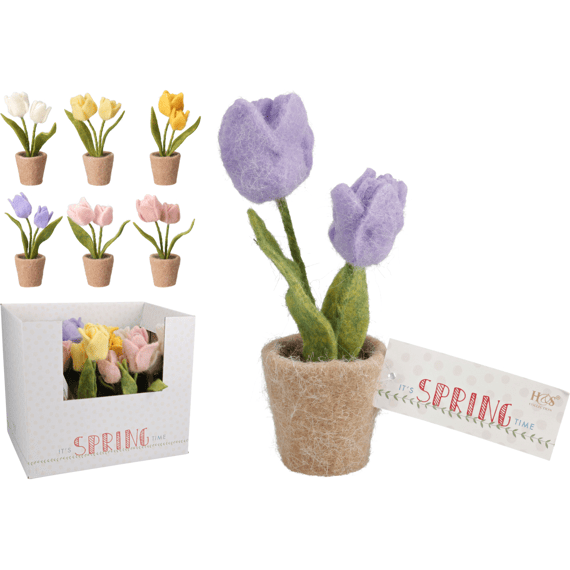 Tulpen In Pot 19cm 6 Assortiment