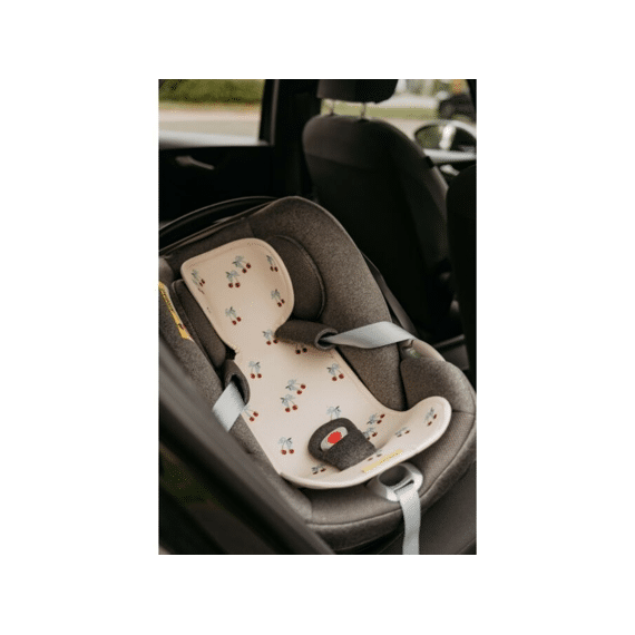 Aeromoov Inleg Groep 0+ Air Layer Ladybug