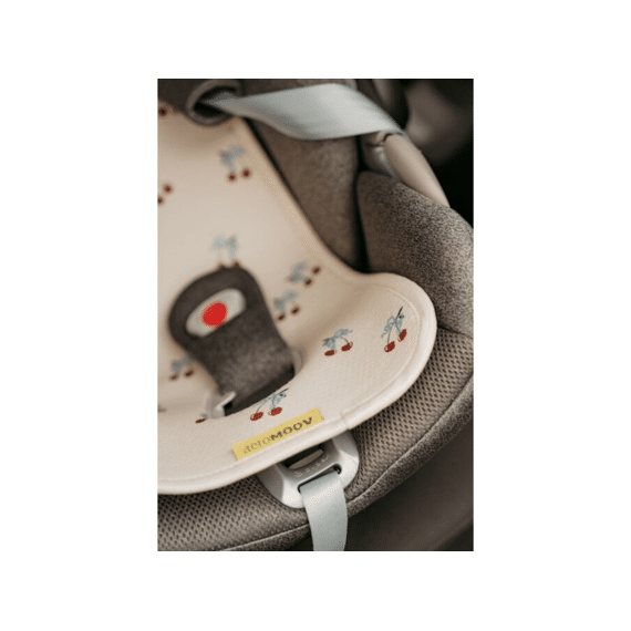 Aeromoov Inleg Groep 0+ Air Layer Ladybug