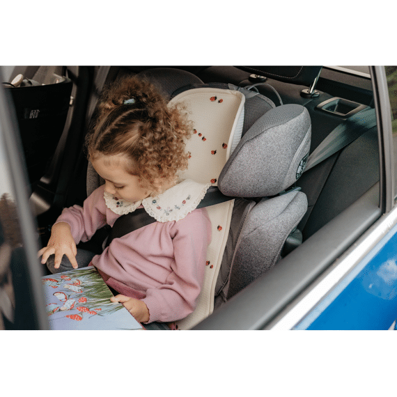 Aeromoov Inleg Groep 1 Air Layer Ladybug