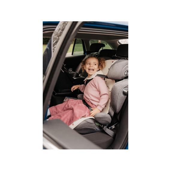 Aeromoov Inleg Groep 2/3 Air Layer Ladybug