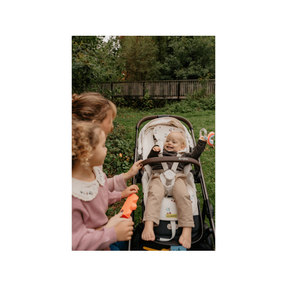 Aeromoov Inleg Buggy Air Layer Cherries