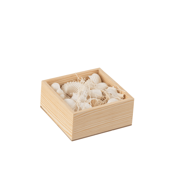 Doos Vierkant Schelpen Wit 12x12x6cm