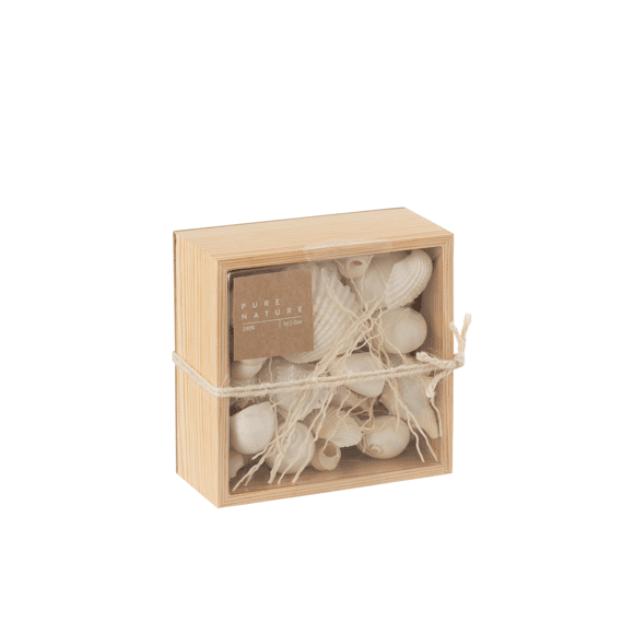 Doos Vierkant Schelpen Wit 12x12x6cm