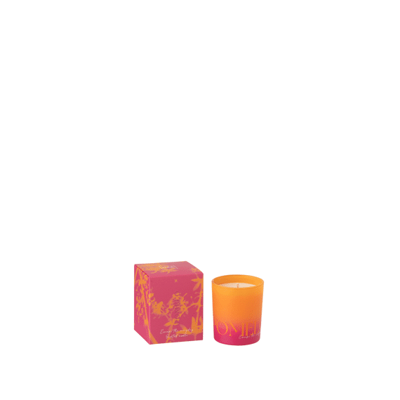 Geurkaars Oasis Was Oranje/roze S 8x8x10cm