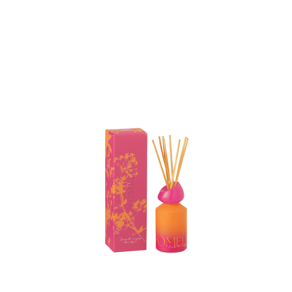 Geurverspreider Oasis Oplosmiddel Oranje/roze 7x7x24.5cm