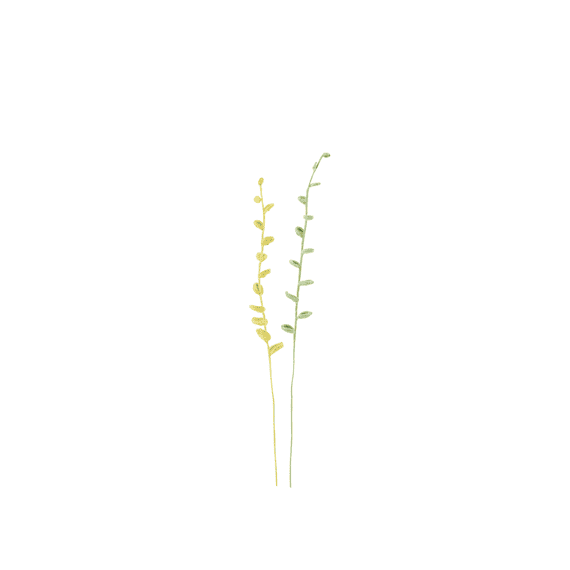 J-Line Bloem Gehaakt Poly Groen 25x1x56cm 2 Assortiment