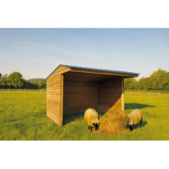 Solid Shelter 3000 X 2920 Mm