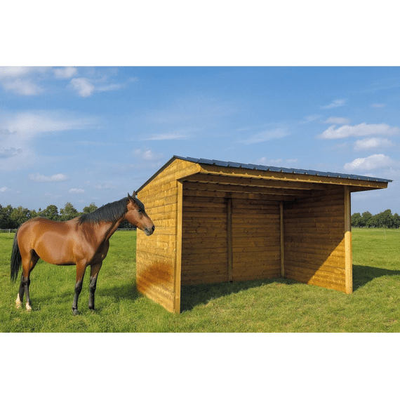 Solid Shelter 6000 X 2920 Mm