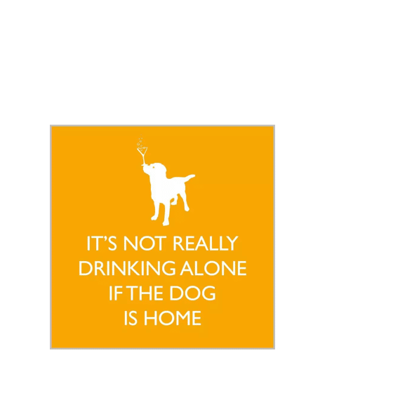 Ppd If The Dog Servetten 25x25cm 20 stuks