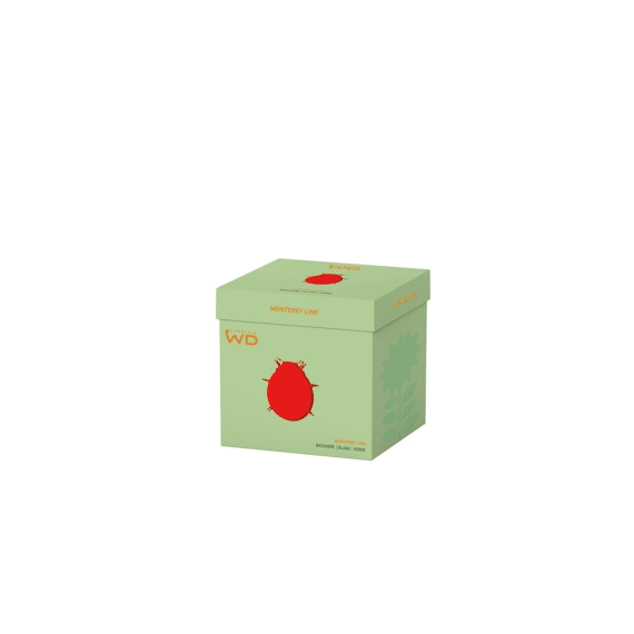 Wd Lifestyle Monterey Line Glas 25cl Lieveheersbeestje