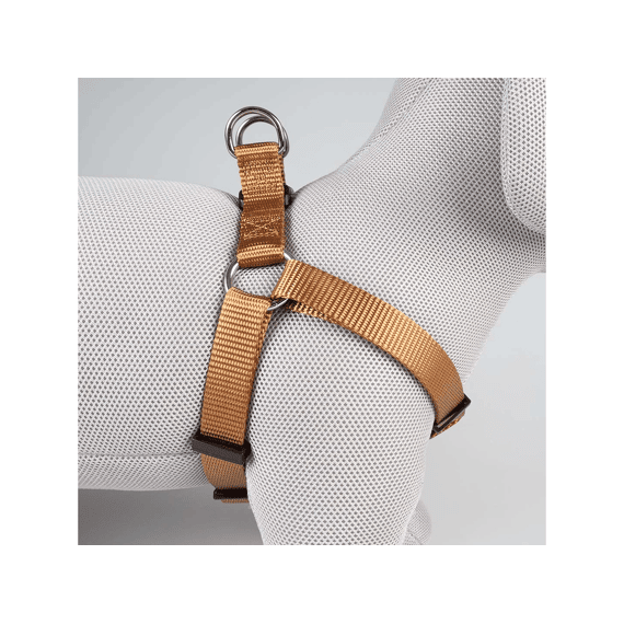 Harnas Step In Fashion Xxs-30-35cm/15mm Bruin