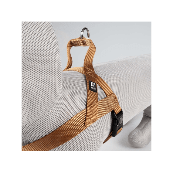 Harnas Chest Fashion L-65-80cm/25mm Bruin