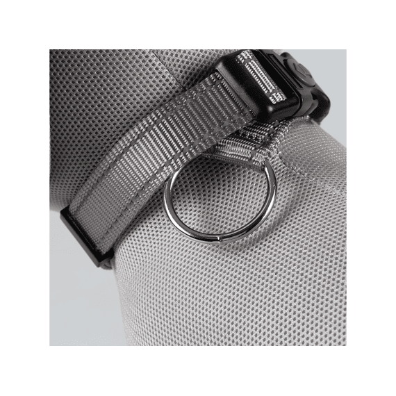 Halsband Safety M-30-45cm/20mm Grijs