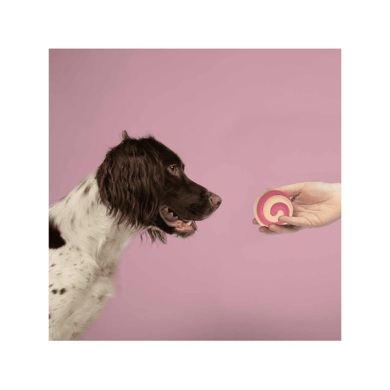 Hondenspeeltje Berry Swirl 7,5cm Roze/beige