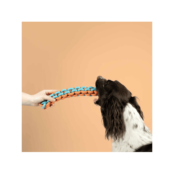 Hondenspeeltje Twisting Tugger 45x4,5x4,5cm Blauw/oranje