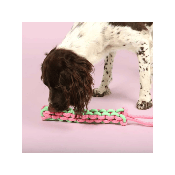 Hondenspeeltje Twisting Tugger 45x4,5x4,5cm Groen/roze