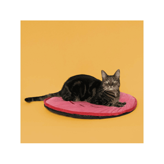 Kattenplaid Big Smile 60x60x0,8cm Roze