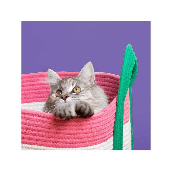 Kattenmand Binge 44x44x20cm Roze/groen