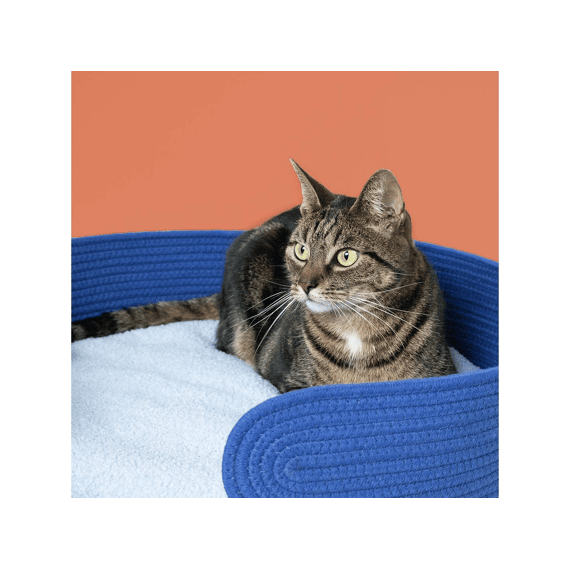 Kattenmandje Lazy Lounge 55x55x12cm Blauw