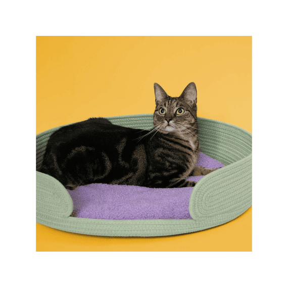 Kattenmandje Lazy Lounge 55x55x12cm Groen/lilac
