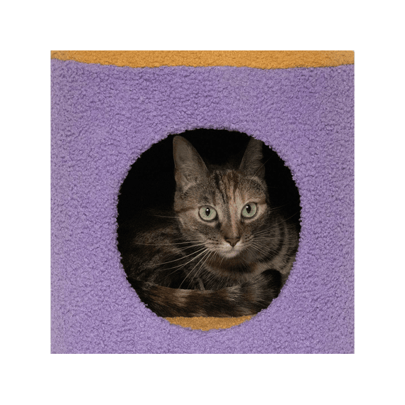 Kattenhuisje Happy House 35x35x35cm Geel/paars