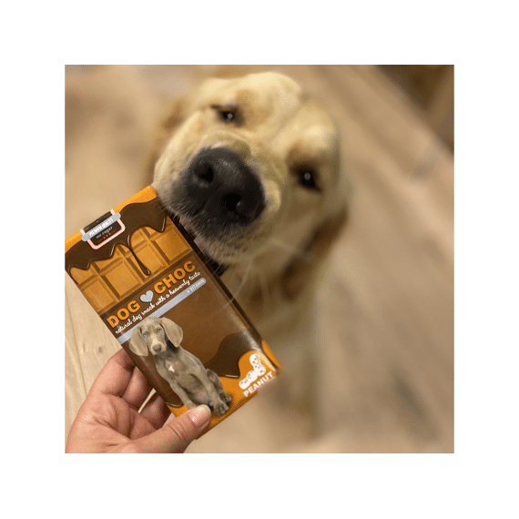 Dog Choc Pindaboter 100gr