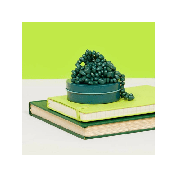 Speks Mini Matte Crags Magnetische Fidget-kneedpasta Assortiment