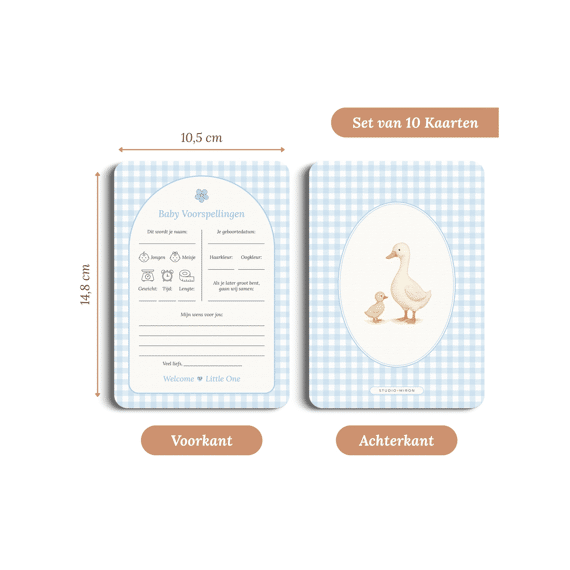 Studio Miron Baby Voorspellingen Gingham Blauw Set Van 10