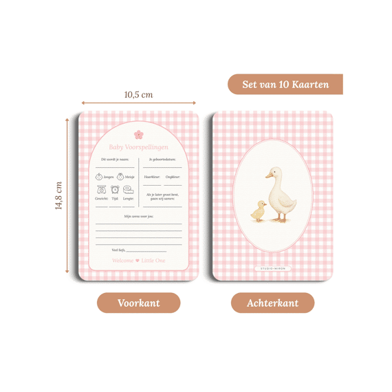 Studio Miron Baby Voorspellingen Gingham Roze Set Van 10