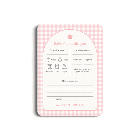 Studio Miron Baby Voorspellingen Gingham Roze Set Van 10