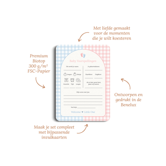 Studio Miron Baby Voorspellingen Gingham Roze/blauw Set Van 10