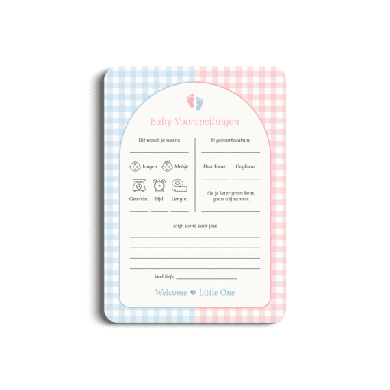 Studio Miron Baby Voorspellingen Gingham Roze/blauw Set Van 10