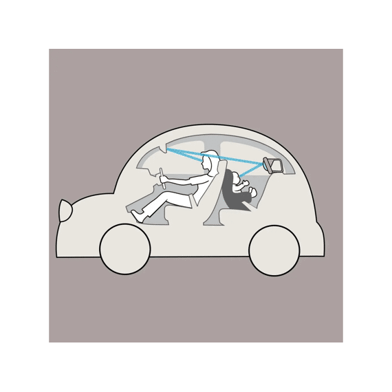 Taf Toys Car Mirror Leeuw