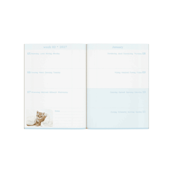 Lannoo Agenda My Favourite Friends Grijze Kat
