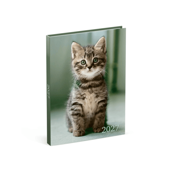 Lannoo Agenda My Favourite Friends Grijze Kat