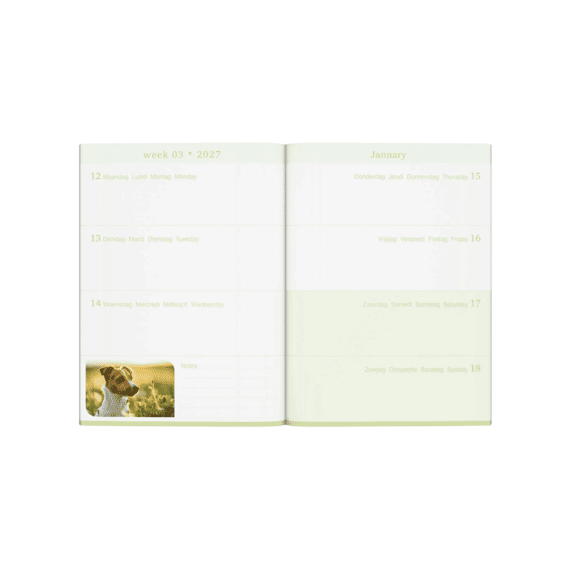 Lannoo Agenda My Favourite Friends Bruine Hond