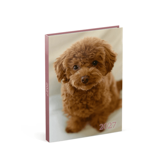 Lannoo Agenda My Favourite Friends Bruine Hond