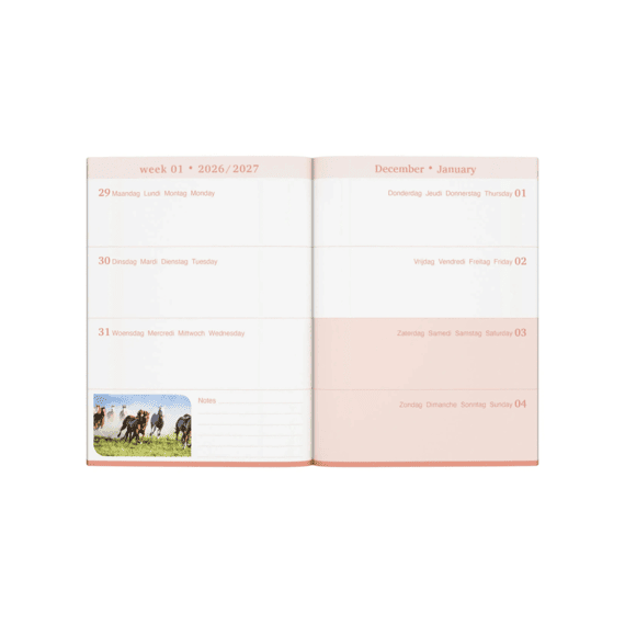 Lannoo Agenda My Favourite Friends Groen Paard