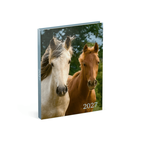Lannoo Agenda My Favourite Friends Groen Paard