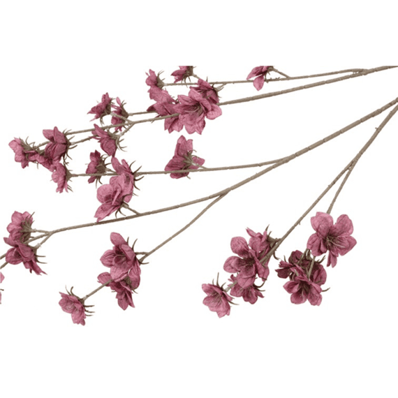 Bloem Zinnia Paars 15x15x108cm