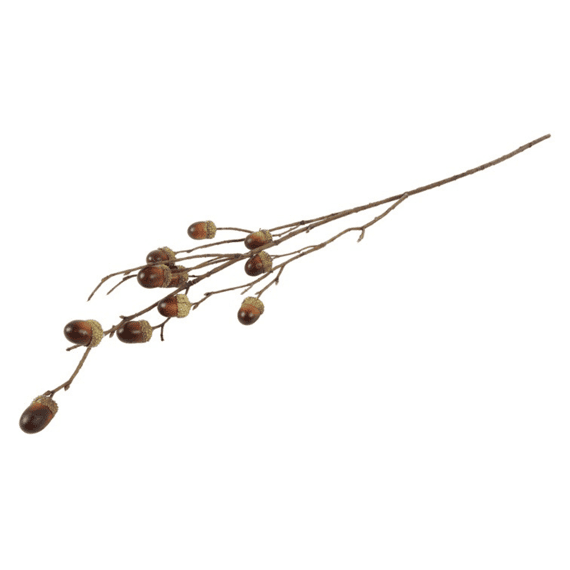 Tak Qurecus M Bruin 4x17x76cm