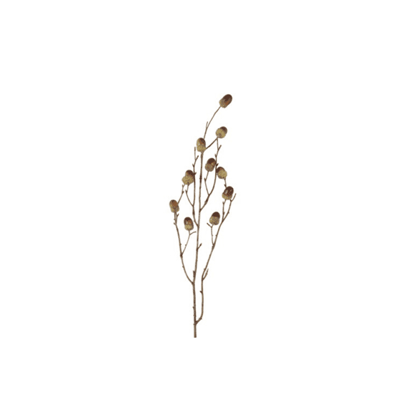 Tak Qurecus M Bruin 4x17x76cm