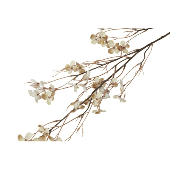 Bloem Prunus Avium S Crème 12x12x110cm