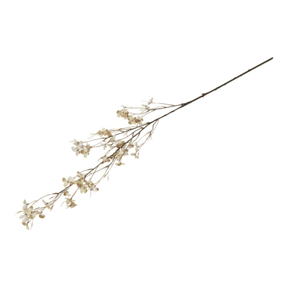 Bloem Prunus Avium S Crème 12x12x110cm