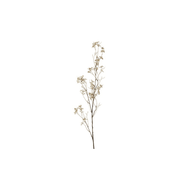 Bloem Prunus Avium S Crème 12x12x110cm