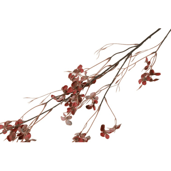 Bloem Prunus Avium S Rood 12x12x110cm